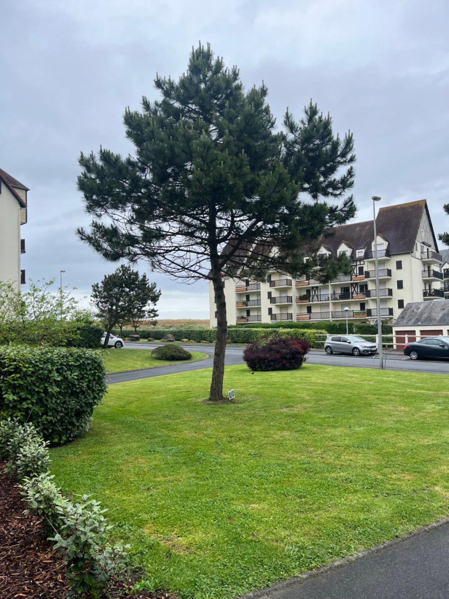 Ferienwohnung La Parenthese Cabourgeaise Exterior foto